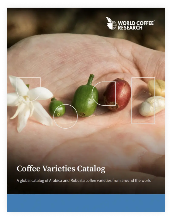 Coffee Varieties Catalog