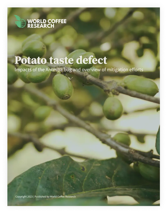 World Coffee Research